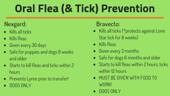 oral flea & tick prevention