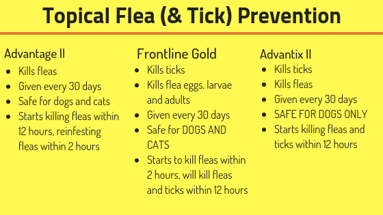 topical flea & tick prevention