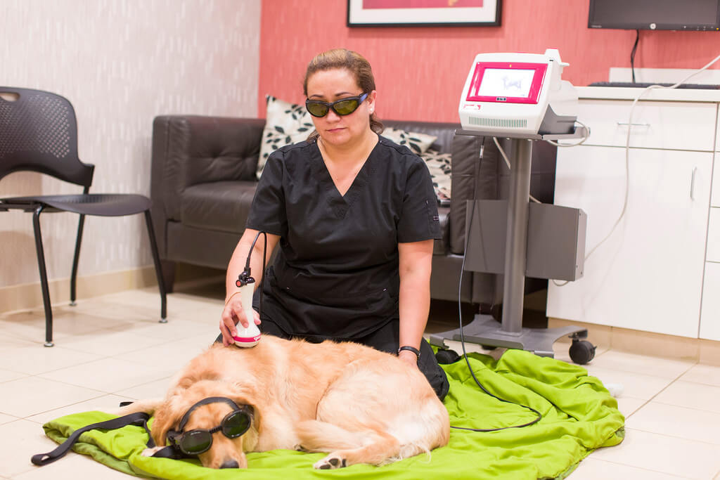 vvch laser therapy