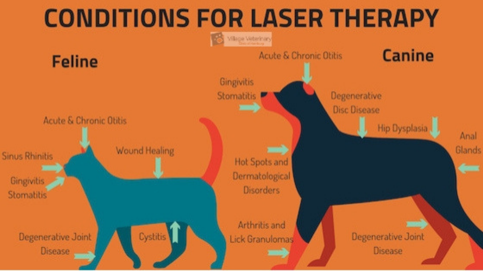 laser therapy conditions