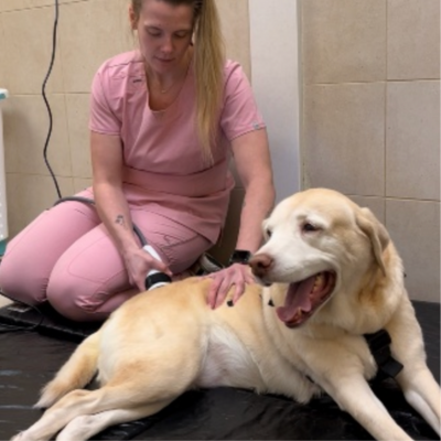 Shockwave Therapy